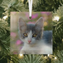 Buscar cristal de colores adornos Para ella