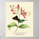 Buscar vintage bird arte Tropical