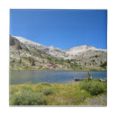 Buscar árboles nevados azulejos Nevada