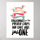 Buscar dachshund lindo posters Divertido