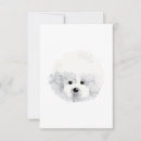 Buscar frise del bichon tarjetas Blanco