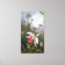 Buscar white orchid arte Floral