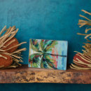 Buscar hojas tropicales placas fotograbadas Hojas de palma