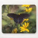Buscar swallowtail alfombrillas de raton Insecto
