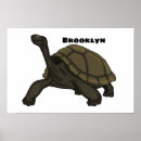 Buscar tortugas tortugas posters Cualquier niño