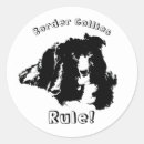 Buscar perro a bordo pegatinas Divertido