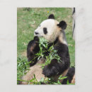 Buscar yum postales Adorable