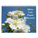 Buscar floraciones calendarios Flores