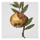 Buscar granadas posters Otoño