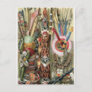 Buscar congo postales Nativo