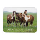Buscar assateague imanes Virginia