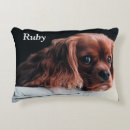 Buscar cavalier king charles spaniel cojines Lindo