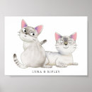 Buscar gatos siameses posters Gatito