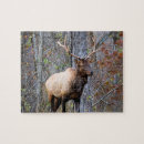 Buscar cazadores puzzles Para todos