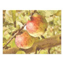 Buscar manzanas rojas posters Para todos
