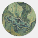 Buscar insecto pegatinas Para todos