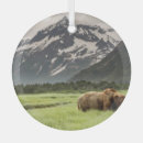 Buscar pardo adornos Alaska