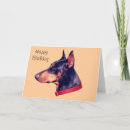 Buscar dobe Perro