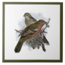 Buscar blue bird posavasos Acuarela