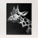 Buscar jirafas lindas puzzles Animal