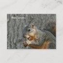 Buscar consumición tarjetas de visita Animal