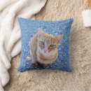 Buscar gatitos cojines Cualquier niño