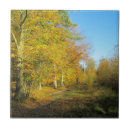 Buscar autumn azulejos Bosque