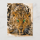 Buscar ojos verdes postales General y unisex