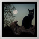 Buscar gato gótico posters Noche