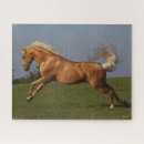 Buscar el salto del caballo puzzles Raza