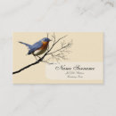 Buscar bluebird tarjetas de visita Animal