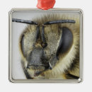 Buscar cabeza adornos Animal