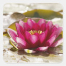 Buscar selectivo pegatinas Oscurecer