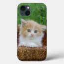 Buscar pelo animal iphone fundas Gato