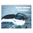 Buscar ballenas calendarios Orcas