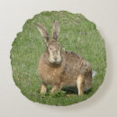 Buscar litera cojines Para todos