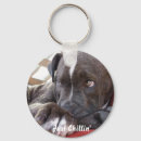 Buscar pitbull llaveros Amante del perro
