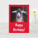 Buscar guapo tarjetas General y unisex