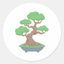 Buscar bonsai pegatinas Planta