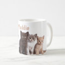 Buscar bobo tazas Café