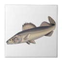 Buscar pescados amarillos azulejos Pescador