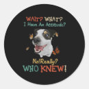 Buscar jack russel pegatinas Jack russell terrier