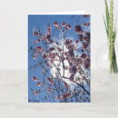 Buscar flor de escocia postales Primavera