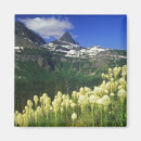 Buscar logan imanes Parque nacional