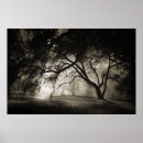 Buscar luz de luna decoracion Fotografía