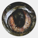 Buscar vampiros postales Naturaleza