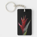Buscar heliconia Jardín
