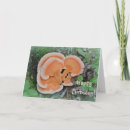 Buscar comestible tarjetas Alimento
