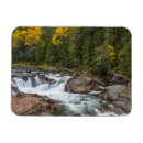 Buscar haney tarjetas Montana