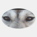 Buscar alaskan malamute pegatinas Cáustico